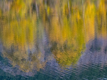 Picture of USA-WASHINGTON STATE-EASTON AND FALL COLORS OF COTTONWOODS IN SMALL POND