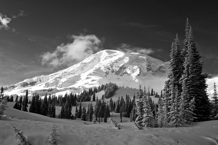 Picture of USA-WASHINGTON STATE-MT-RAINIER NATIONAL PARK-WINTER ON MOUNT RAINIER