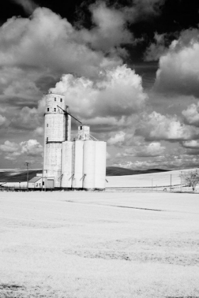 Picture of USA-WASHINGTON STATE-SILO WITH LARGE CLOUDS