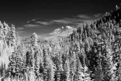 Picture of USA-WASHINGTON STATE-MT-RAINIER VIEWED FROM THE SOUTH