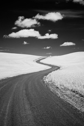 Picture of USA-PALOUSE COUNTRY-WASHINGTON STATE-INFRARED PALOUSE FIELDS AND BACKROAD