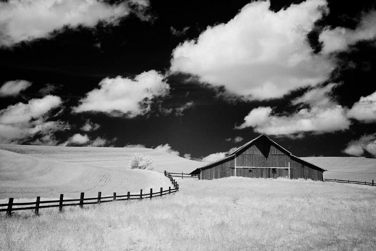 Picture of USA-PALOUSE COUNTRY-WASHINGTON STATE-INFRARED PALOUSE FIELDS AND BARN