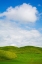 Picture of USA-WASHINGTON STATE-PALOUSE REGION-PATTERNS IN THE FIELDS OF FRESH GREEN SPRING WHEAT