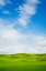 Picture of USA-WASHINGTON STATE-PALOUSE REGION-PATTERNS IN THE FIELDS OF FRESH GREEN SPRING WHEAT