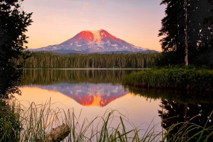 Picture of USA-WASHINGTON STATE-SUNSET ON MT-ADAMS REFLECTING IN LAKE TAKHLAKH