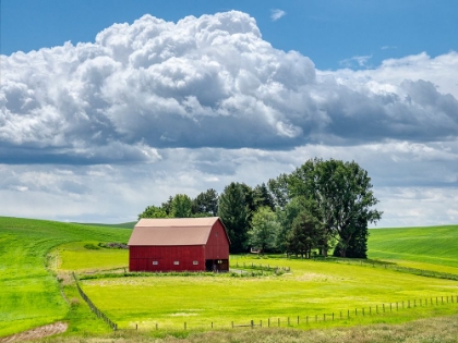 Picture of USA-WASHINGTON STATE-PALOUSE-OLD RED BARN WITH FRESH GREEN FIELDS
