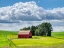 Picture of USA-WASHINGTON STATE-PALOUSE-OLD RED BARN WITH FRESH GREEN FIELDS
