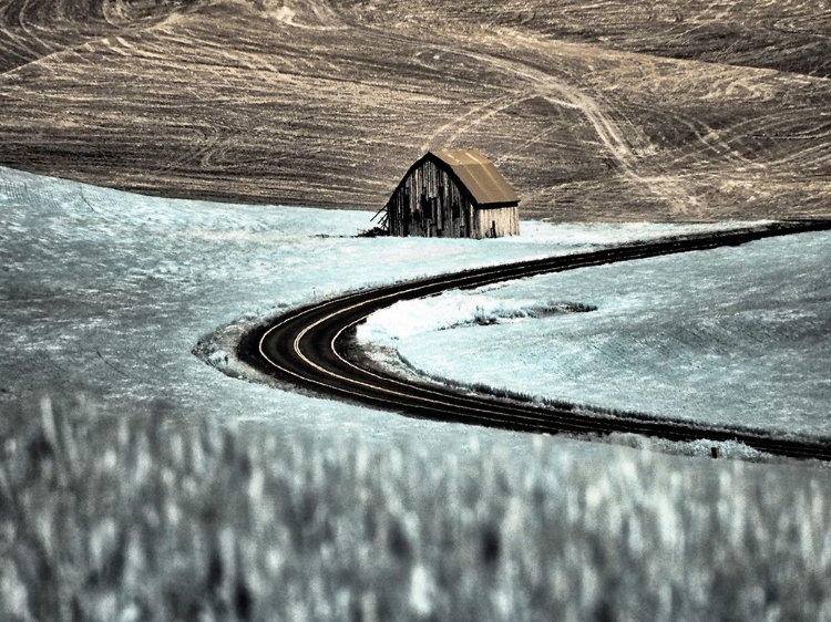 Picture of USA-WASHINGTON STATE-PALOUSE-ROAD RUNNING THROUGH THE CROPS WITH BARN ALONG SIDE THE ROAD