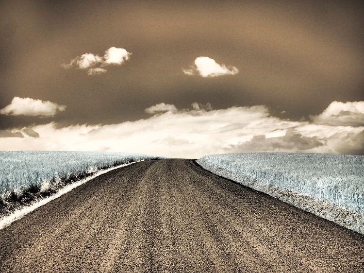 Picture of USA-WASHINGTON STATE-PALOUSE-COUNTRY BACKROAD THROUGH SPRING CROPS