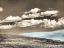 Picture of USA-WASHINGTON STATE-PALOUSE-CROPS GROWING ON THE ROLLING HILLS OF THE PALOUSE