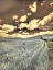 Picture of USA-WASHINGTON STATE-PALOUSE-CROPS GROWING ON THE ROLLING HILLS OF THE PALOUSE