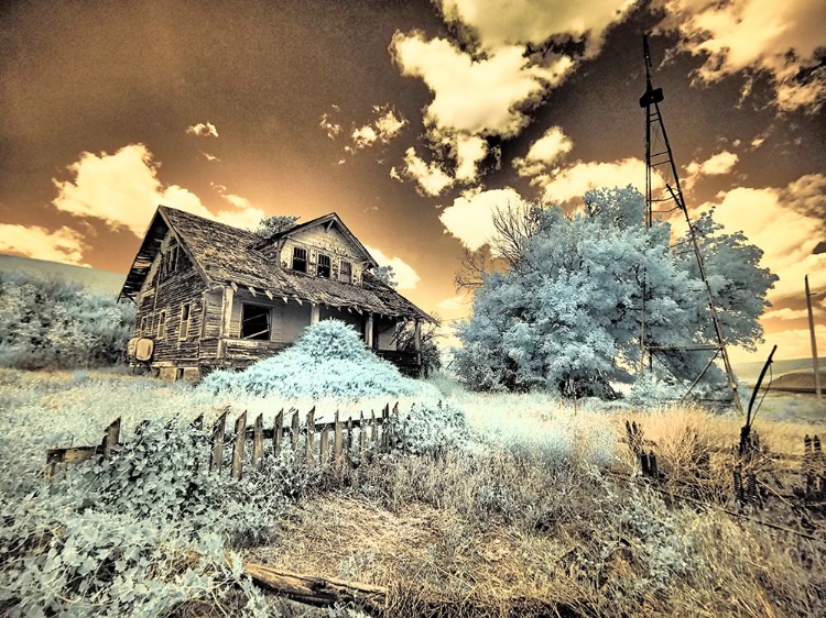 Picture of USA-WASHINGTON STATE-PALOUSE-ABANDONED OLD HOMESTEAD