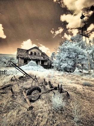 Picture of USA-WASHINGTON STATE-PALOUSE-ABANDONED OLD HOMESTEAD