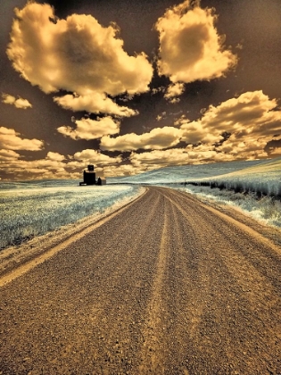 Picture of USA-WASHINGTON STATE-PALOUSE-COUNTRY BACKROAD THROUGH SPRING CROPS