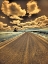 Picture of USA-WASHINGTON STATE-PALOUSE-COUNTRY BACKROAD THROUGH SPRING CROPS