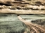 Picture of USA-WASHINGTON STATE-PALOUSE-COUNTRY BACKROAD THROUGH SPRING CROPS