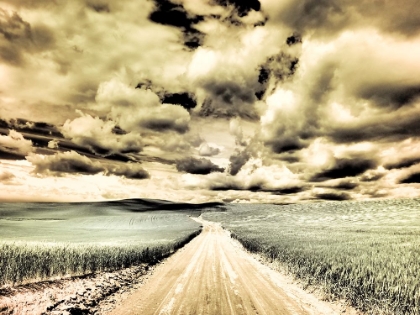 Picture of USA-WASHINGTON STATE-PALOUSE-COUNTRY BACKROAD THROUGH SPRING CROPS