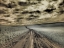 Picture of USA-WASHINGTON STATE-PALOUSE-COUNTRY BACKROAD THROUGH SPRING CROPS