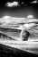 Picture of USA-PALOUSE COUNTRY-WASHINGTON STATE-INFRARED PALOUSE FIELDS AND LONE TREE