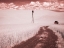 Picture of USA-WASHINGTON STATE-PALOUSE-BACKROAD THROUGH WHEAT FIELD