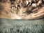Picture of USA-WASHINGTON STATE-PALOUSE-WHEAT FIELD AND CLOUDS