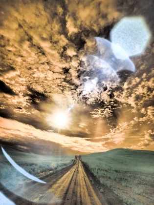 Picture of USA-WASHINGTON STATE-PALOUSE-BACKCOUNTRY ROAD THROUGH WHEAT FIELD AND CLOUDS