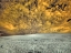 Picture of USA-WASHINGTON STATE-PALOUSE-WHEAT FIELD AND CLOUDS