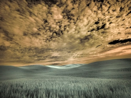 Picture of USA-WASHINGTON STATE-PALOUSE-WHEAT FIELD AND CLOUDS