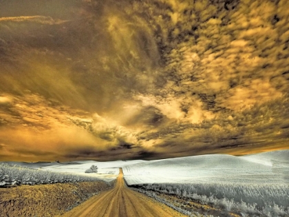Picture of USA-WASHINGTON STATE-PALOUSE-BACKCOUNTRY ROAD THROUGH WHEAT FIELD AND CLOUDS