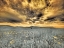 Picture of USA-WASHINGTON STATE-PALOUSE-SPRING POPPIES AND WHEAT FIELD AND CLOUDS