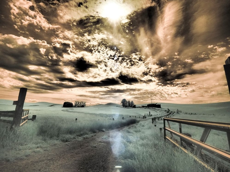 Picture of USA-WASHINGTON STATE-PALOUSE-BACKCOUNTRY ROAD THROUGH WHEAT FIELD AND CLOUDS