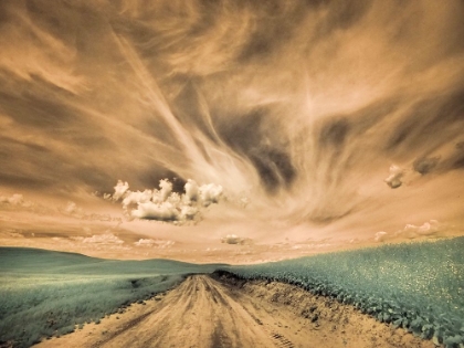 Picture of USA-WASHINGTON STATE-PALOUSE-BACKCOUNTRY ROAD THROUGH CANOLA FIELD AND CLOUDS