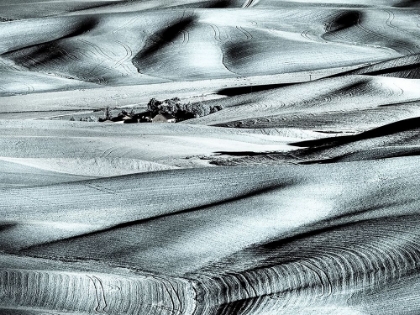 Picture of USA-WASHINGTON STATE-PALOUSE REGION-ROLLING HILLS AT SUNSET