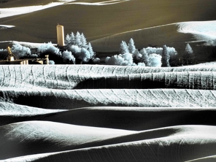 Picture of USA-WASHINGTON STATE-PALOUSE REGION-THE TOWN OF STEPTOE AT SUNSET