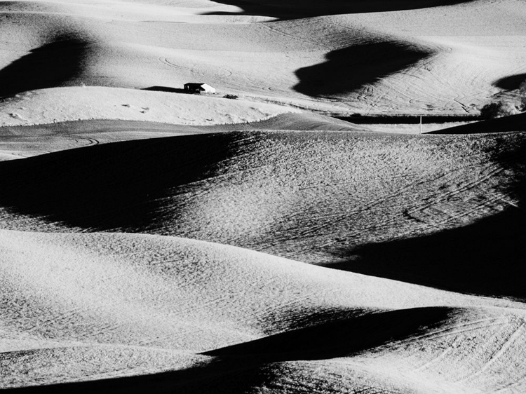 Picture of USA-WASHINGTON STATE-PALOUSE REGION-ROLLING HILLS AT SUNSET