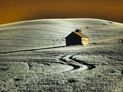 Picture of USA-WASHINGTON STATE-PALOUSE REGION-OLD BARN IN FIELD OF WHEAT