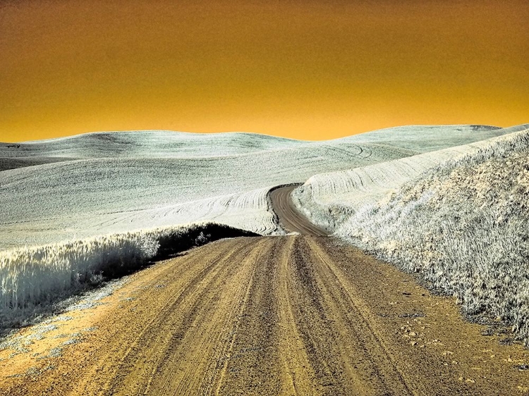 Picture of USA-WASHINGTON STATE-PALOUSE REGION-COUNTRY BACKROAD THROUGH WHEAT FIELDS