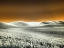 Picture of USA-WASHINGTON STATE-PALOUSE REGION-ROLLING HILLS OF WHEAT