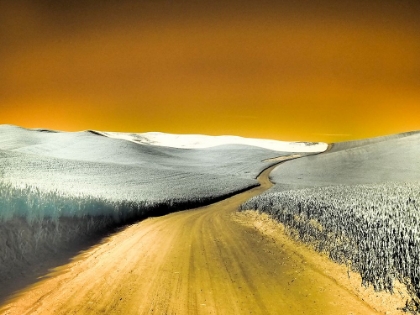 Picture of USA-WASHINGTON STATE-PALOUSE REGION-COUNTRY BACKROAD THROUGH WHEAT FIELDS