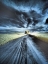 Picture of USA-WASHINGTON STATE-PALOUSE REGION-BACKCOUNTRY ROAD LEADING TO LONE TREE