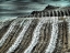 Picture of USA-WASHINGTON STATE-PALOUSE REGION-HARVEST CUT LINES IN FIELD