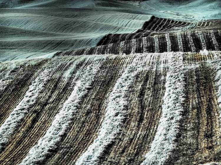 Picture of USA-WASHINGTON STATE-PALOUSE REGION-HARVEST CUT LINES IN FIELD