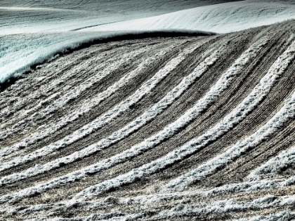 Picture of USA-WASHINGTON STATE-PALOUSE REGION-HARVEST CUT LINES IN FIELD