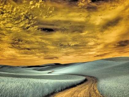 Picture of USA-WASHINGTON STATE-PALOUSE REGION-WINDING BACKCOUNTRY ROAD THROUGH WHEAT FIELDS