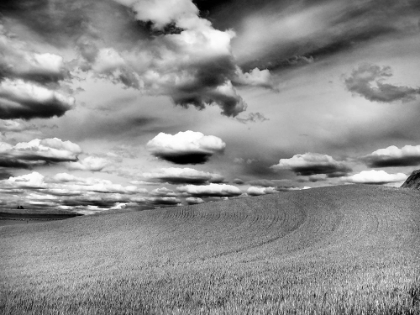 Picture of USA-WASHINGTON STATE-PALOUSE INFRARED OF ROLLING HILLS OF CROPS AND CLOUDS