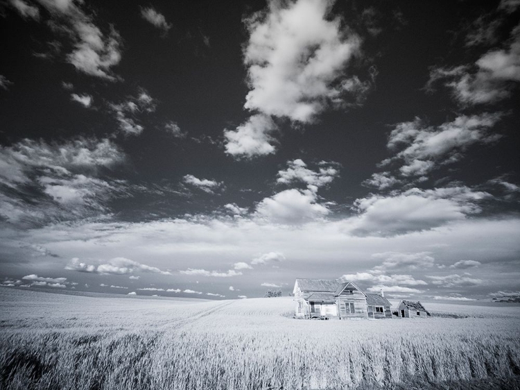 Picture of USA-WASHINGTON STATE-PALOUSE INFRARED OF OLD HOMESTEAD WITH SPECIAL CLOUDS