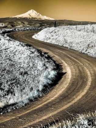 Picture of USA-WASHINGTON STATE INFRARED CAPTURE OF ROAD RUNNING THOUGH WILDFLOWERS WITH MOUNT HOOD BACKGROUND