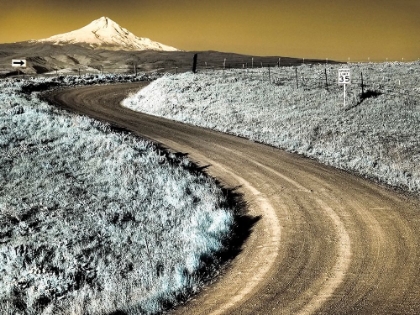 Picture of USA-WASHINGTON STATE INFRARED CAPTURE OF ROAD RUNNING THOUGH WILDFLOWERS WITH MOUNT HOOD BACKGROUND