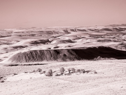 Picture of USA-WASHINGTON STATE INFRARED CAPTURE WILDFLOWERS COVERING THE HILLS ALONG THE COLUMBIA RIVER