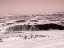 Picture of USA-WASHINGTON STATE INFRARED CAPTURE WILDFLOWERS COVERING THE HILLS ALONG THE COLUMBIA RIVER